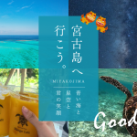 宮古島のシギラビーチでウミガメとシュノーケリング！シャワーや駐車場はある？行き方も解説します！