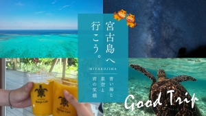 宮古島のシギラビーチでウミガメとシュノーケリング！シャワーや駐車場はある？行き方も解説します！